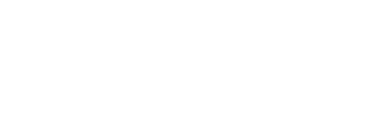 BC Capital Consulting